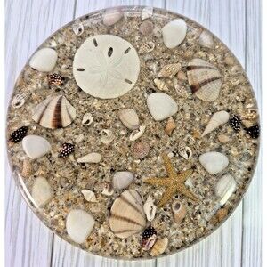 Vintage Resin Coaster or Plaque Featuring Embedded Seashells and Sand Dollar